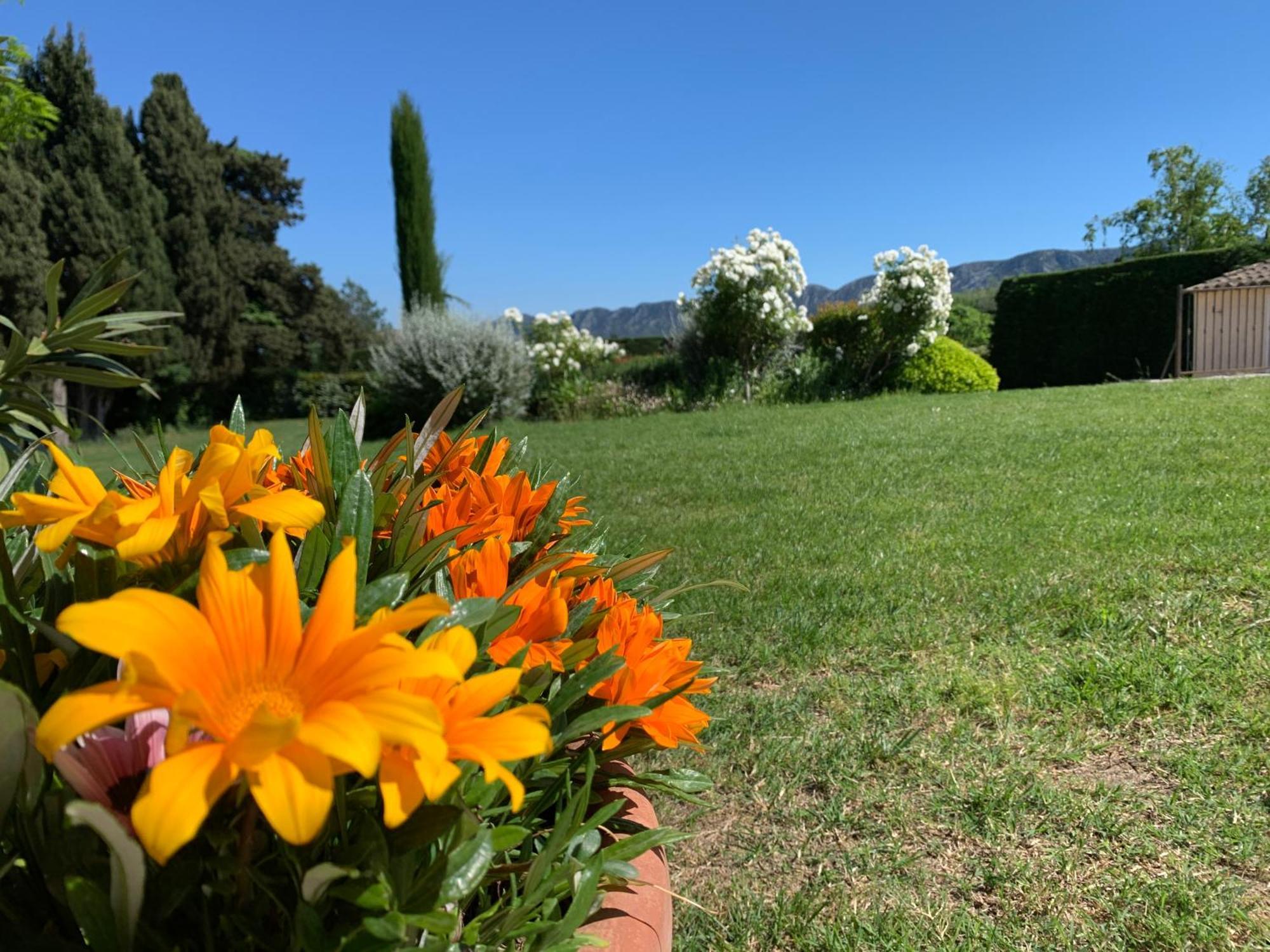 En Provence, Chez Stephanie Et Marcel Saint-Rémy-de-Provence Exteriér fotografie