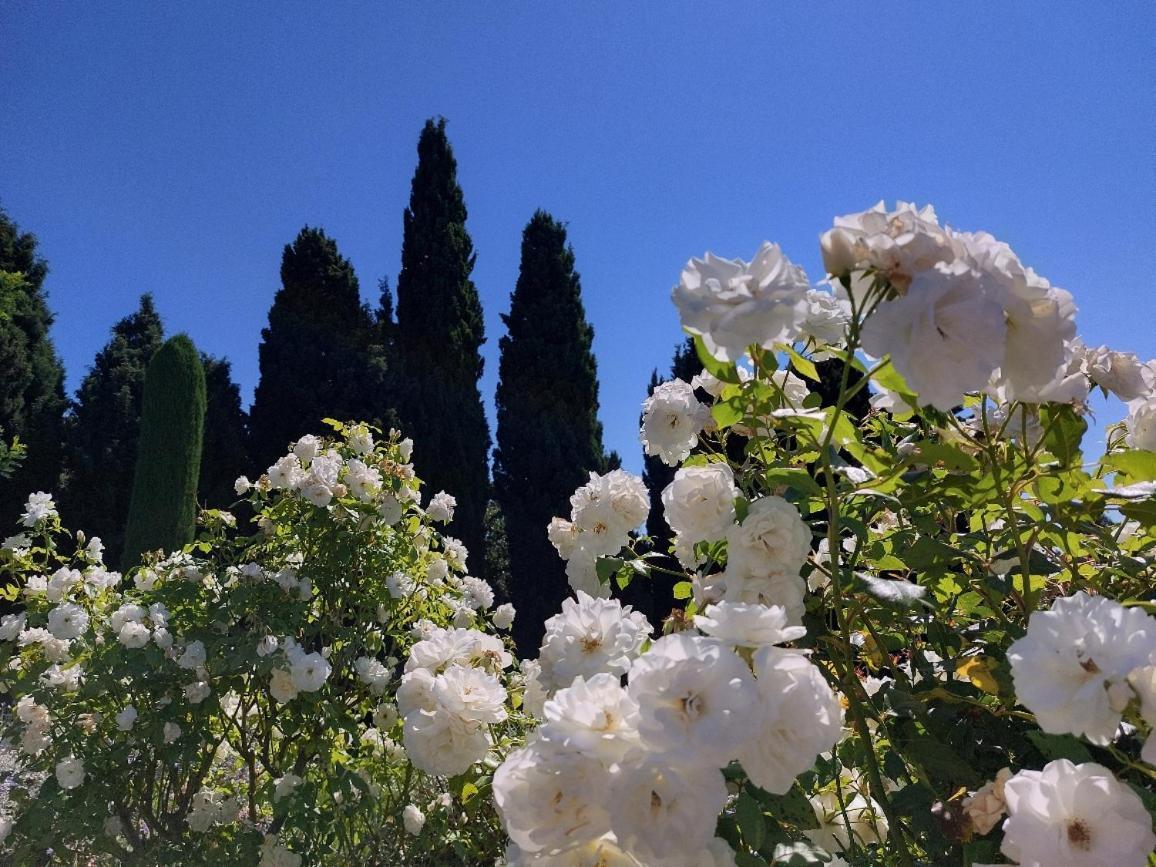 En Provence, Chez Stephanie Et Marcel Saint-Rémy-de-Provence Exteriér fotografie